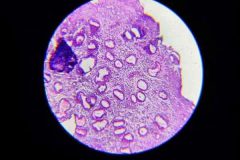 418150986_909606244502627_7159804847541128468_n