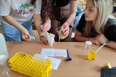 436140869_954379373358647_4366313374273692577_n