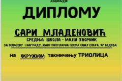 САРА-МЛАДЕНОВИЋ-МАЛИ-ЗВОРНИК-1